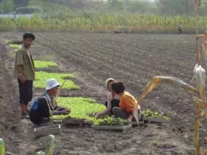 Internationale Hilfsorganisationen - wie die Welthungerhilfe - kämpfen auch heutzutage noch in Nordkorea darum, dass Menschen genügend Grundnahrungsmittel wie Kartoffeln und Reis erhalten. (Foto: Welthungerhilfe) 